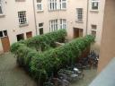 c35_berlin_innenhofsized.jpg
