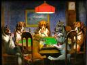 dogspoker.jpg